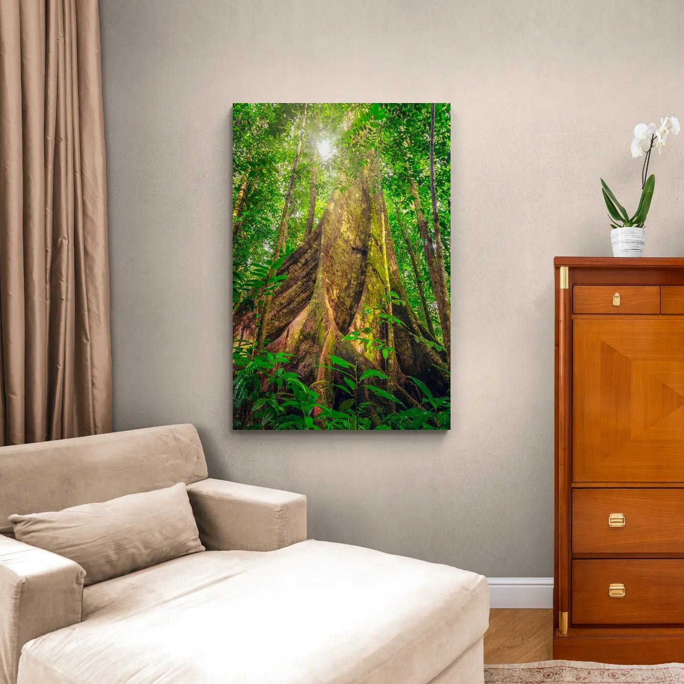 Giants of the Forest