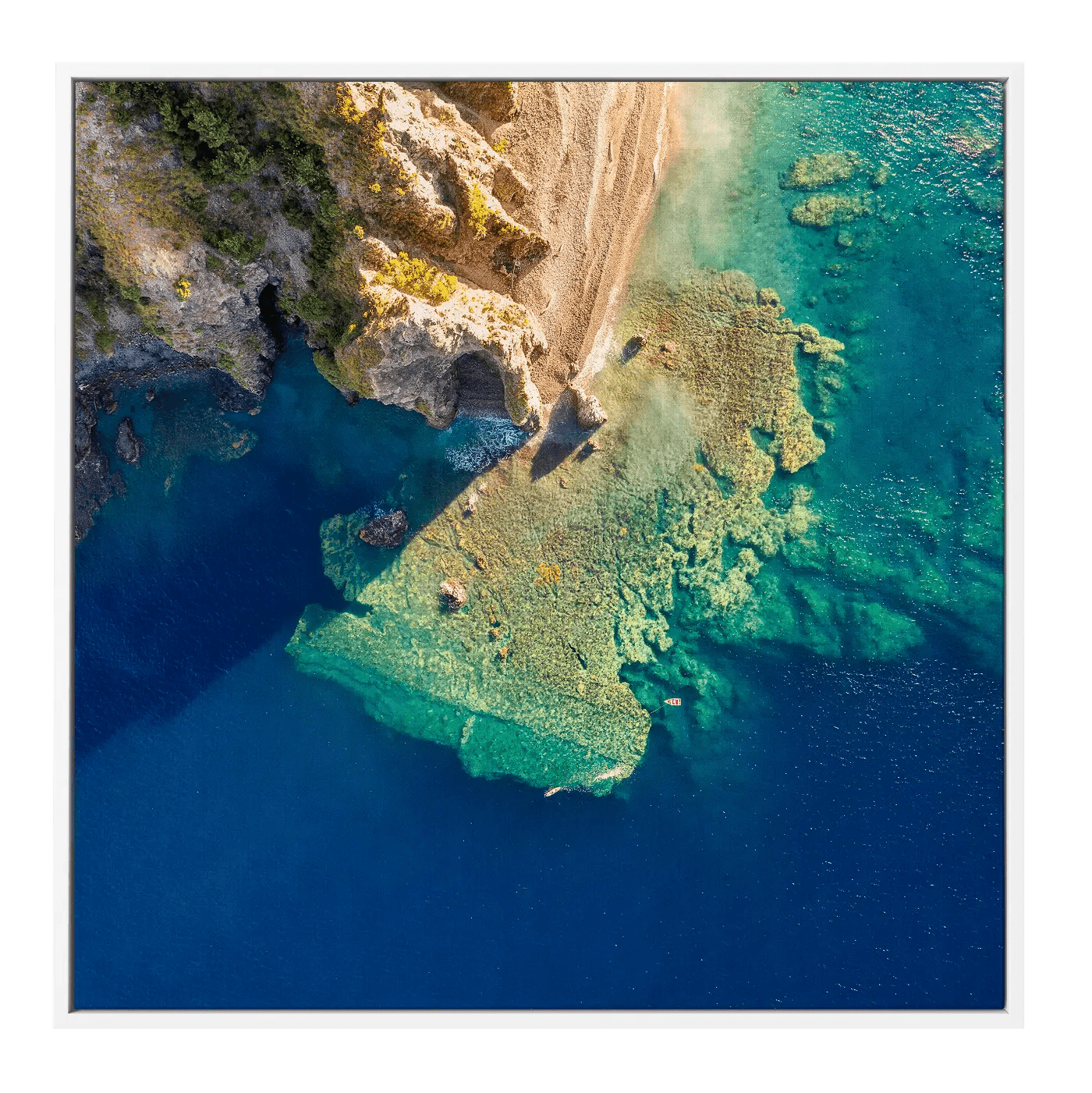 Coral Reefs at Scotts Head