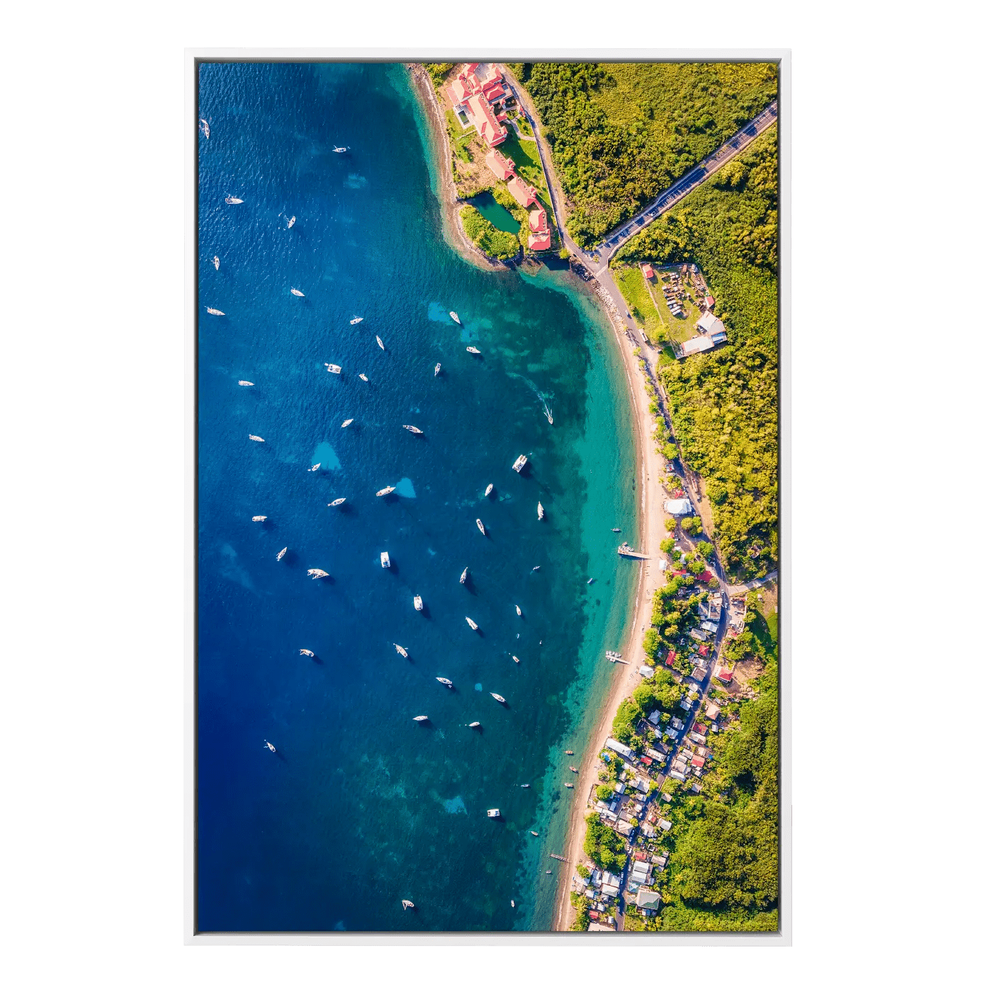 Purple Turtle From Above