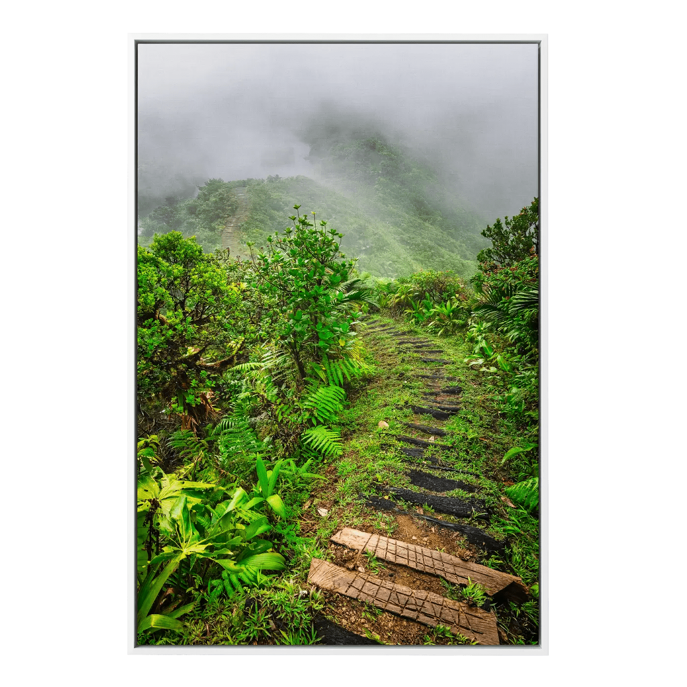Into The Mist