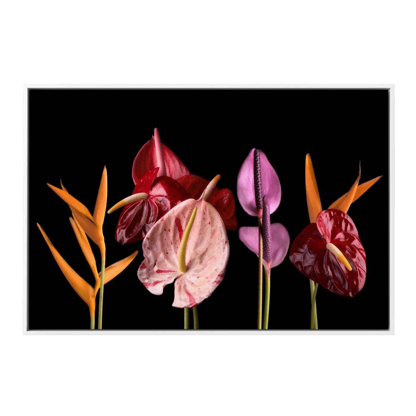 From the Dark Bouquet