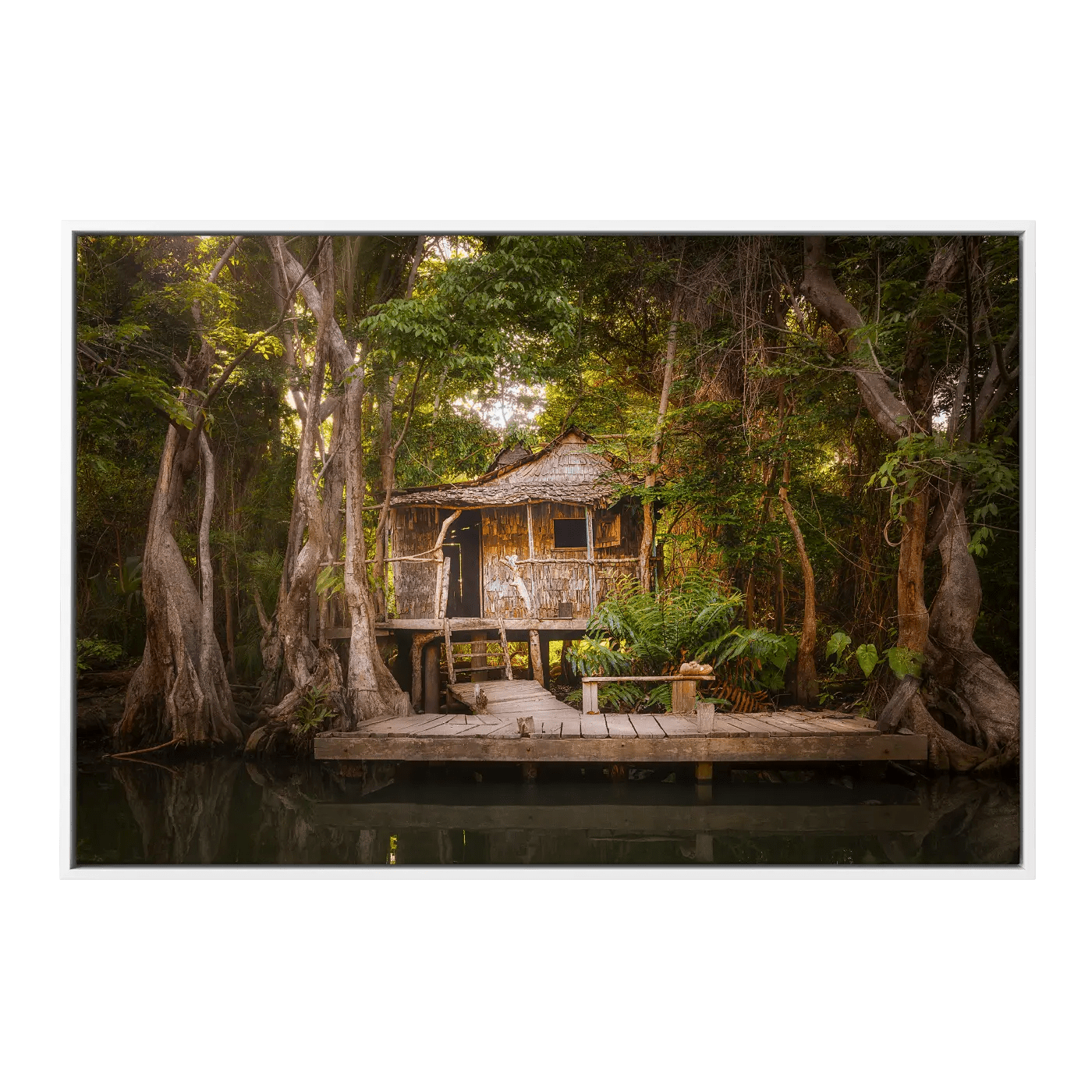 Calypso's House