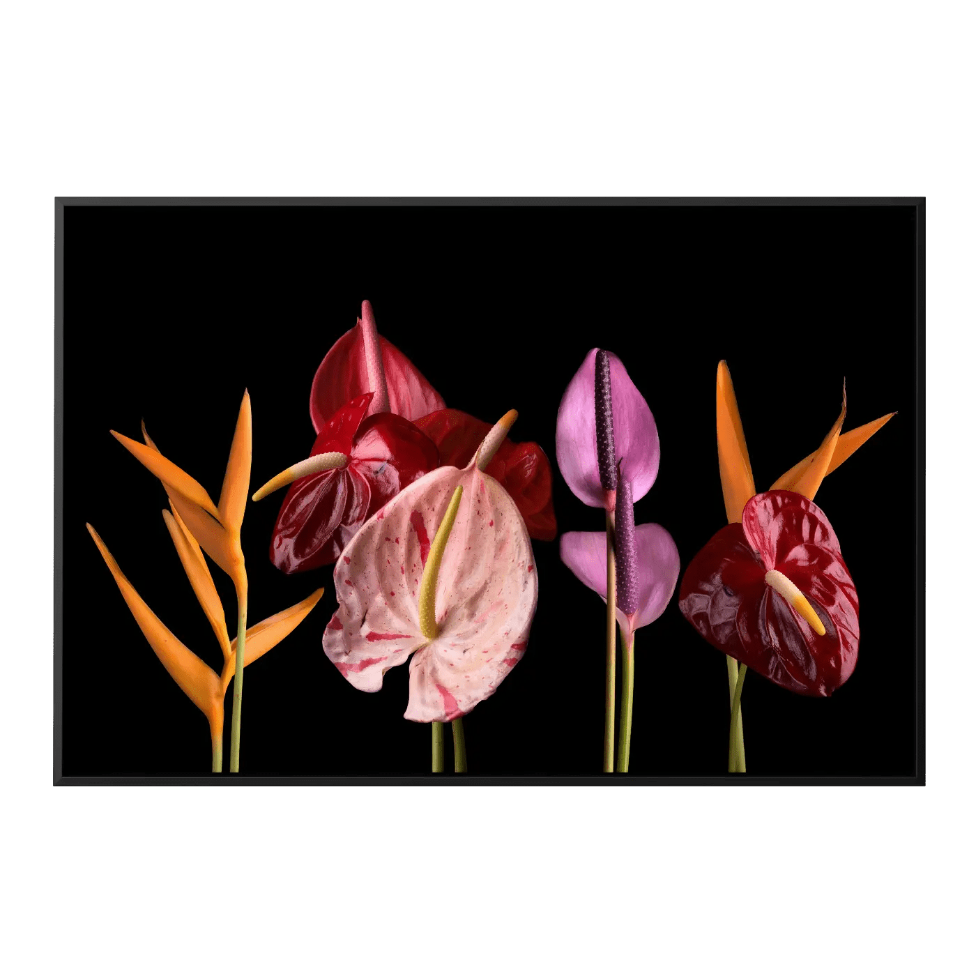 From the Dark Bouquet