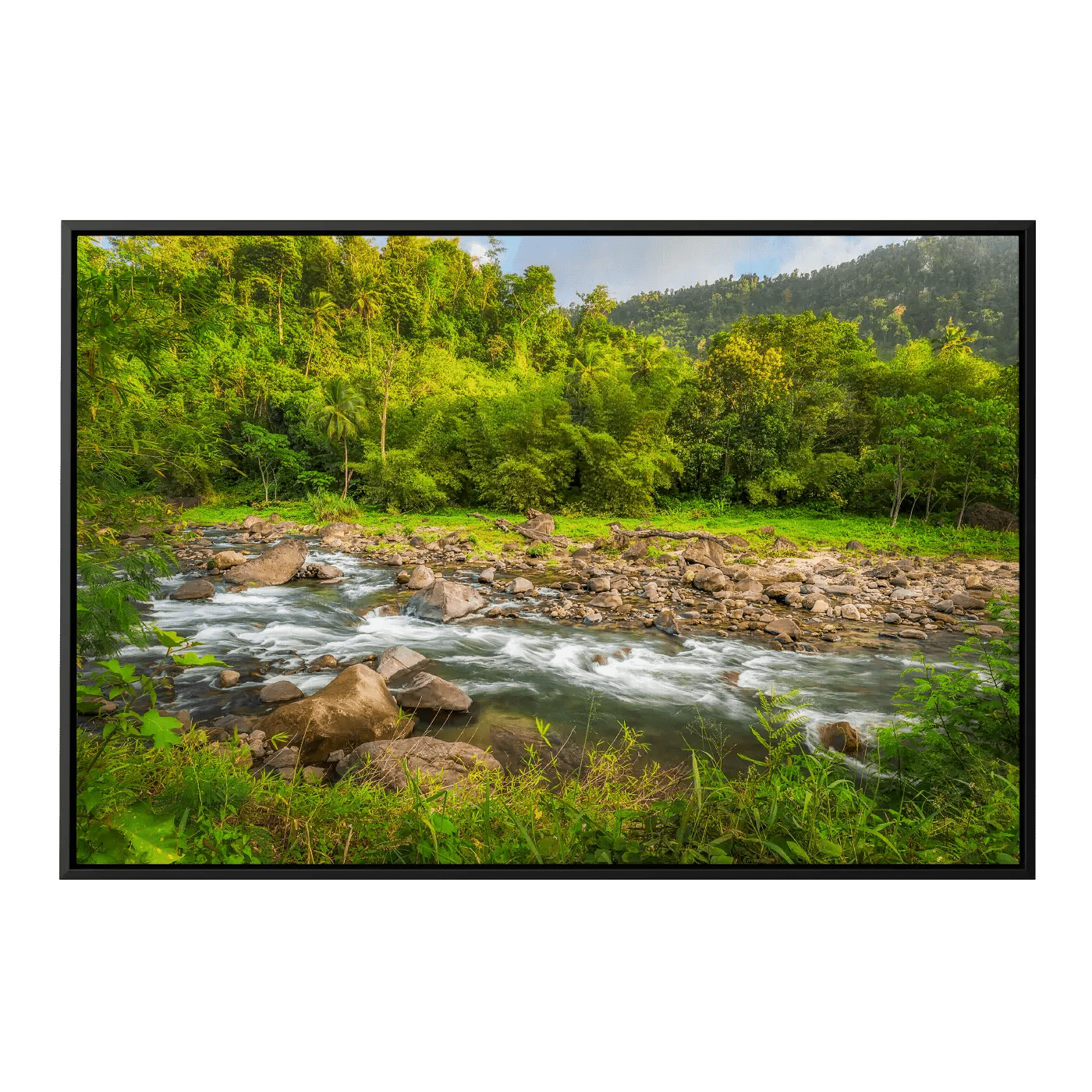 Golden Hour at Layou River II
