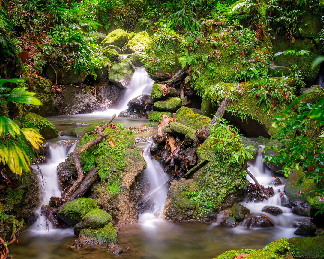 "Four Falls" - Hidden in Plain Sight at Emerald Pool