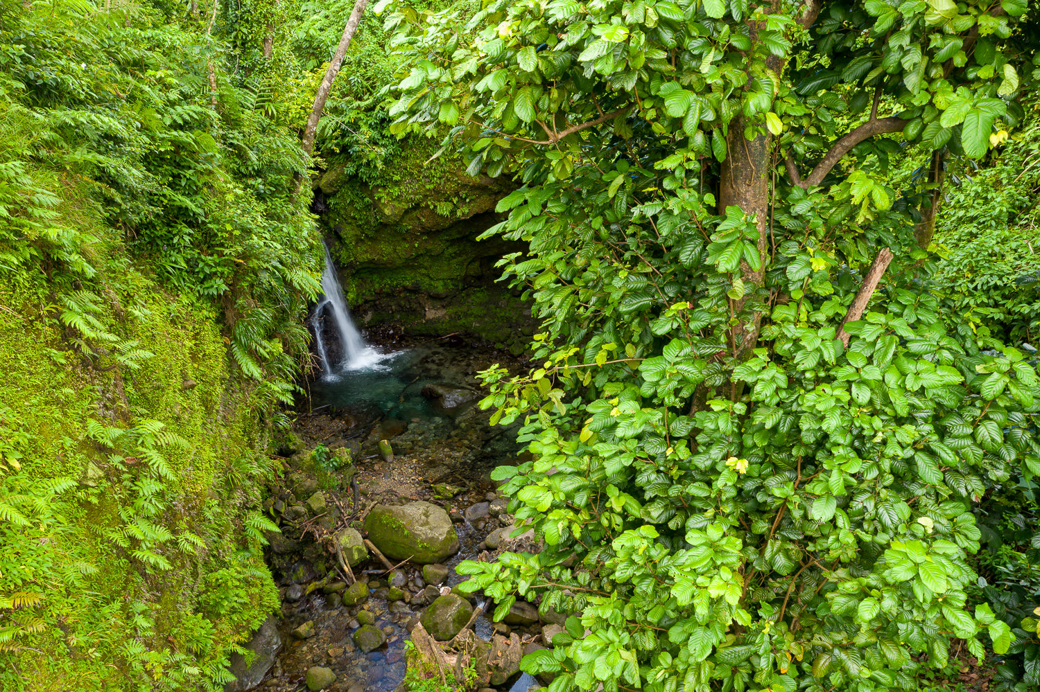 Jacko Falls, named after a maroon hero [VIDEO]