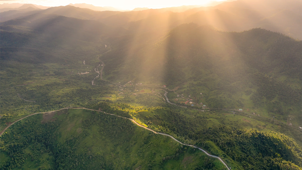 Dominica's protected areas [VIDEO]