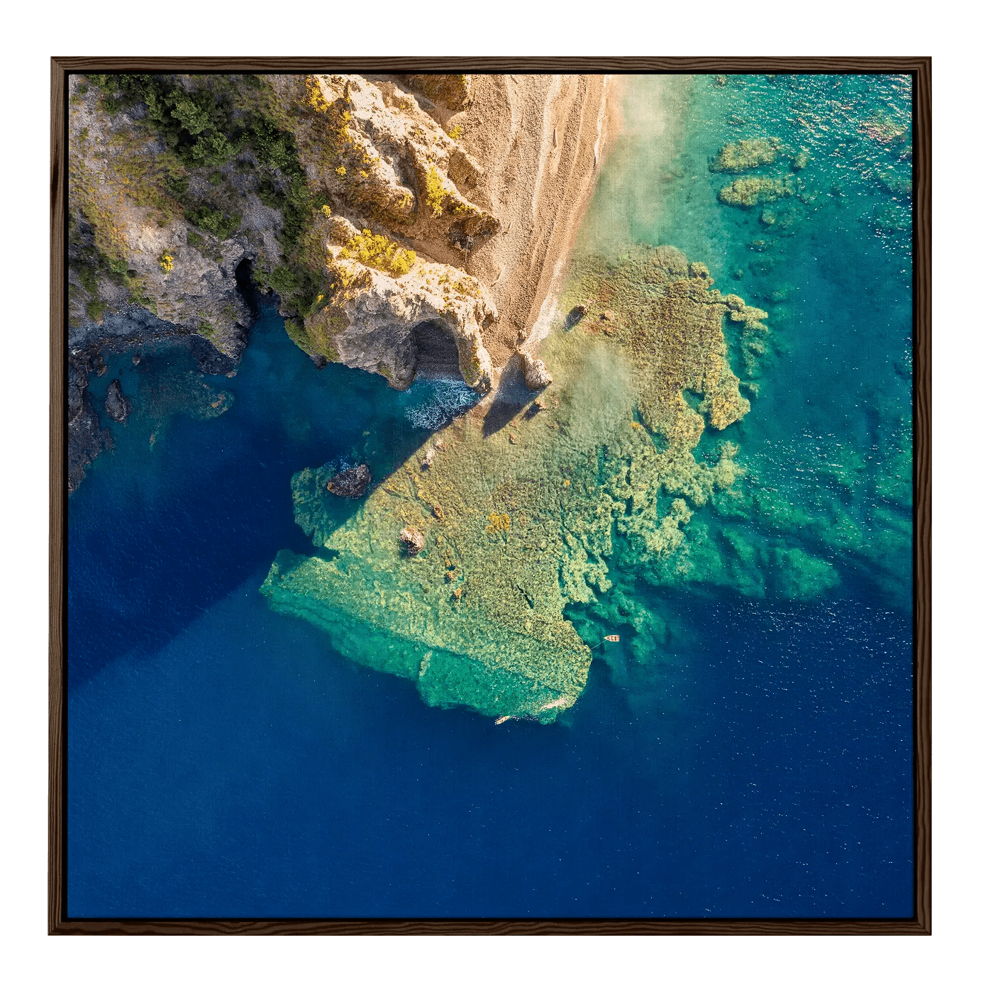 Coral Reefs at Scotts Head