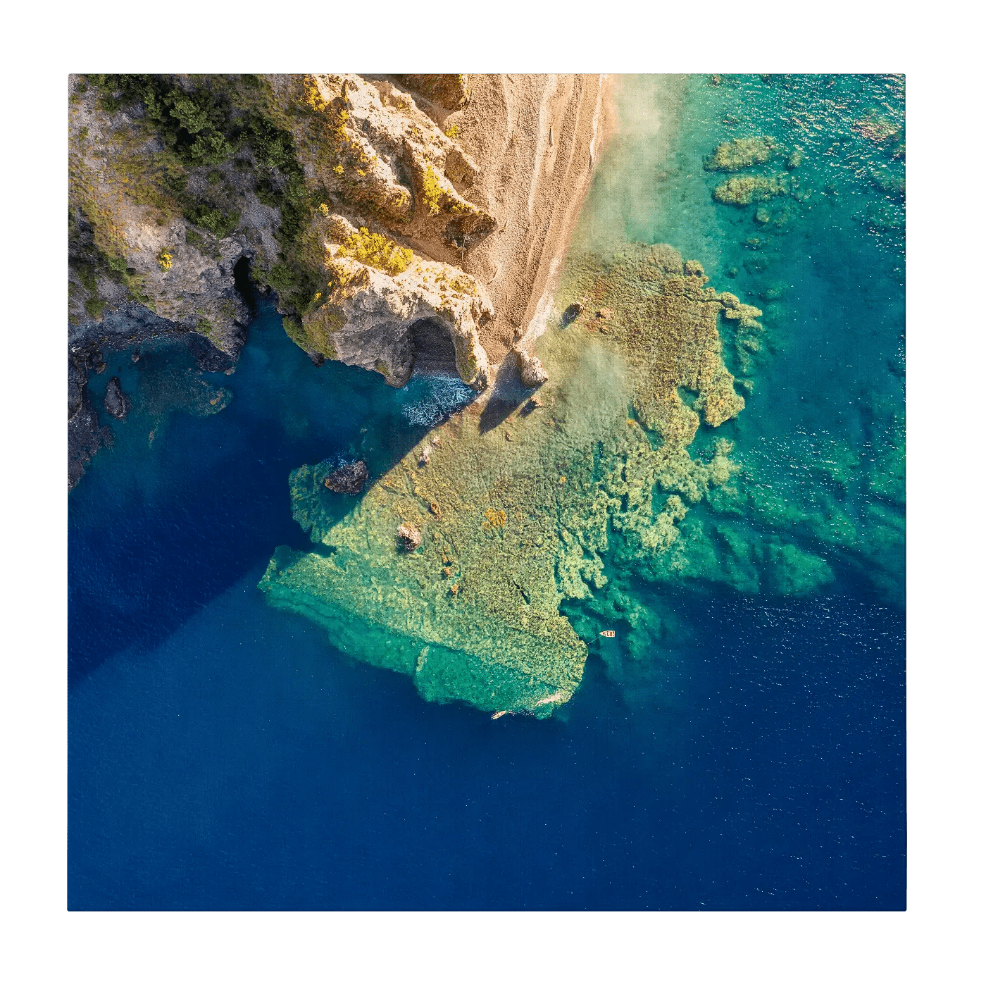 Coral Reefs at Scotts Head