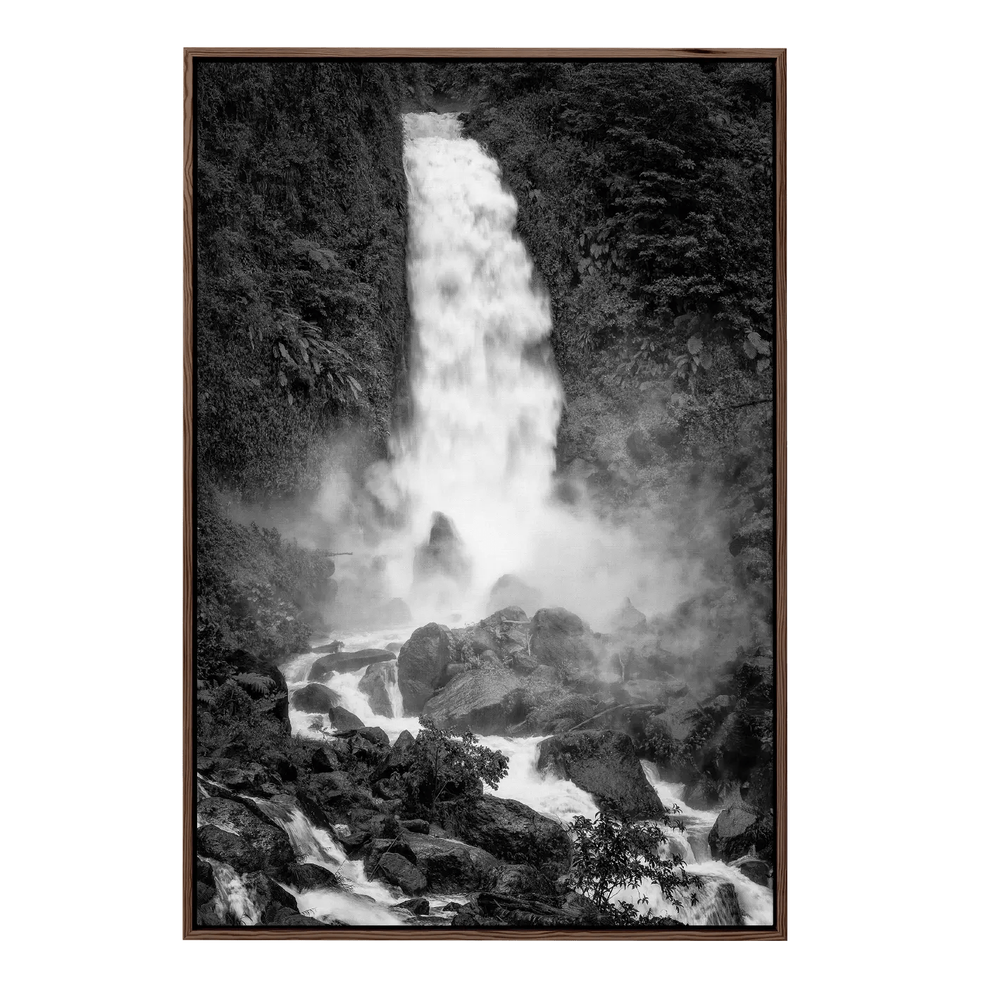 Raging Mother Falls (B&W)