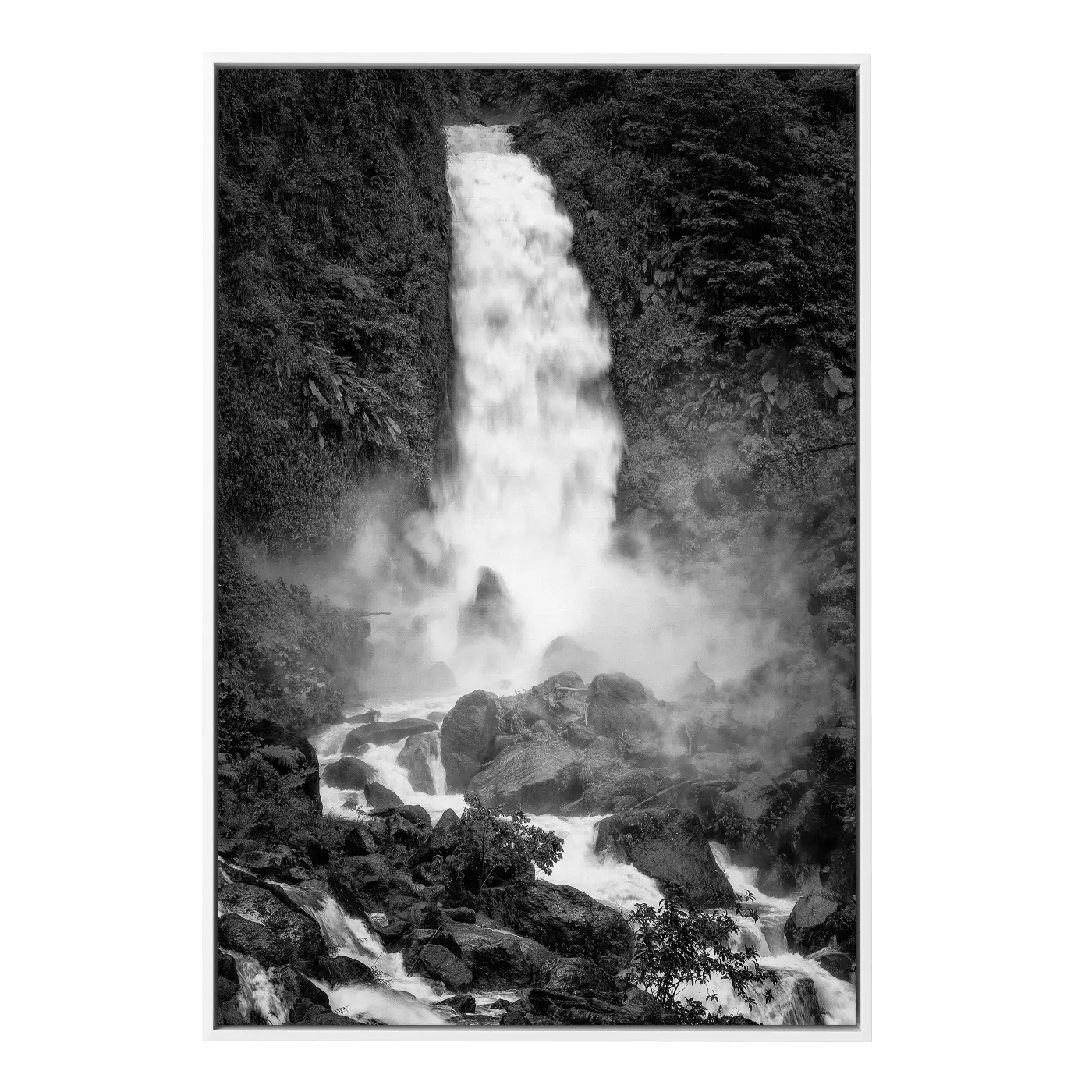 Raging Mother Falls (B&W)