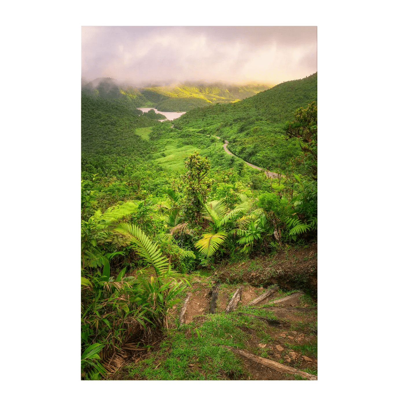 From Boeri Lake Trail I