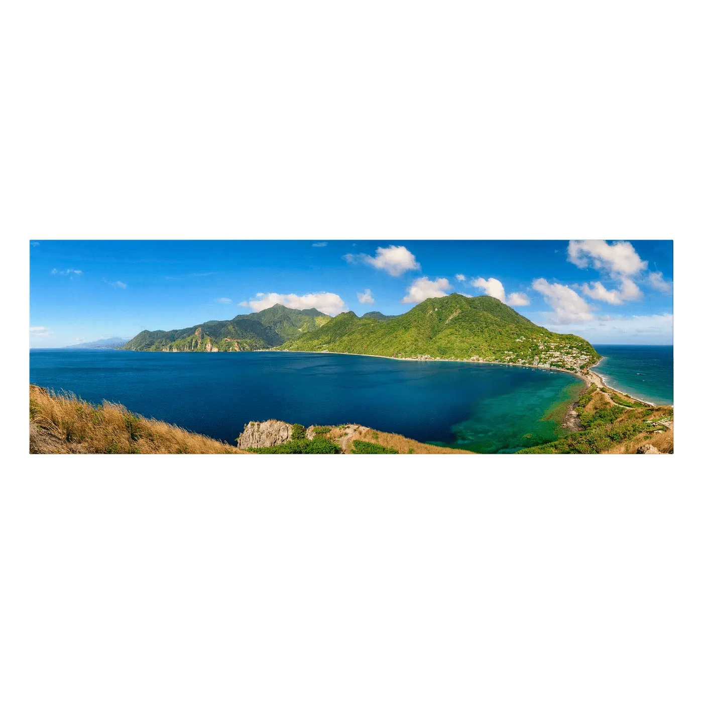 Scotts Head Panorama