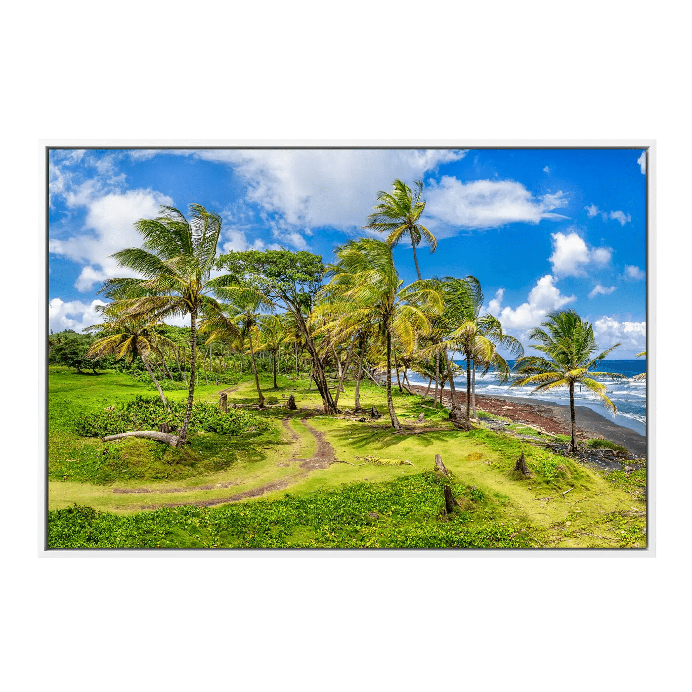 Lovely Cabana Beach