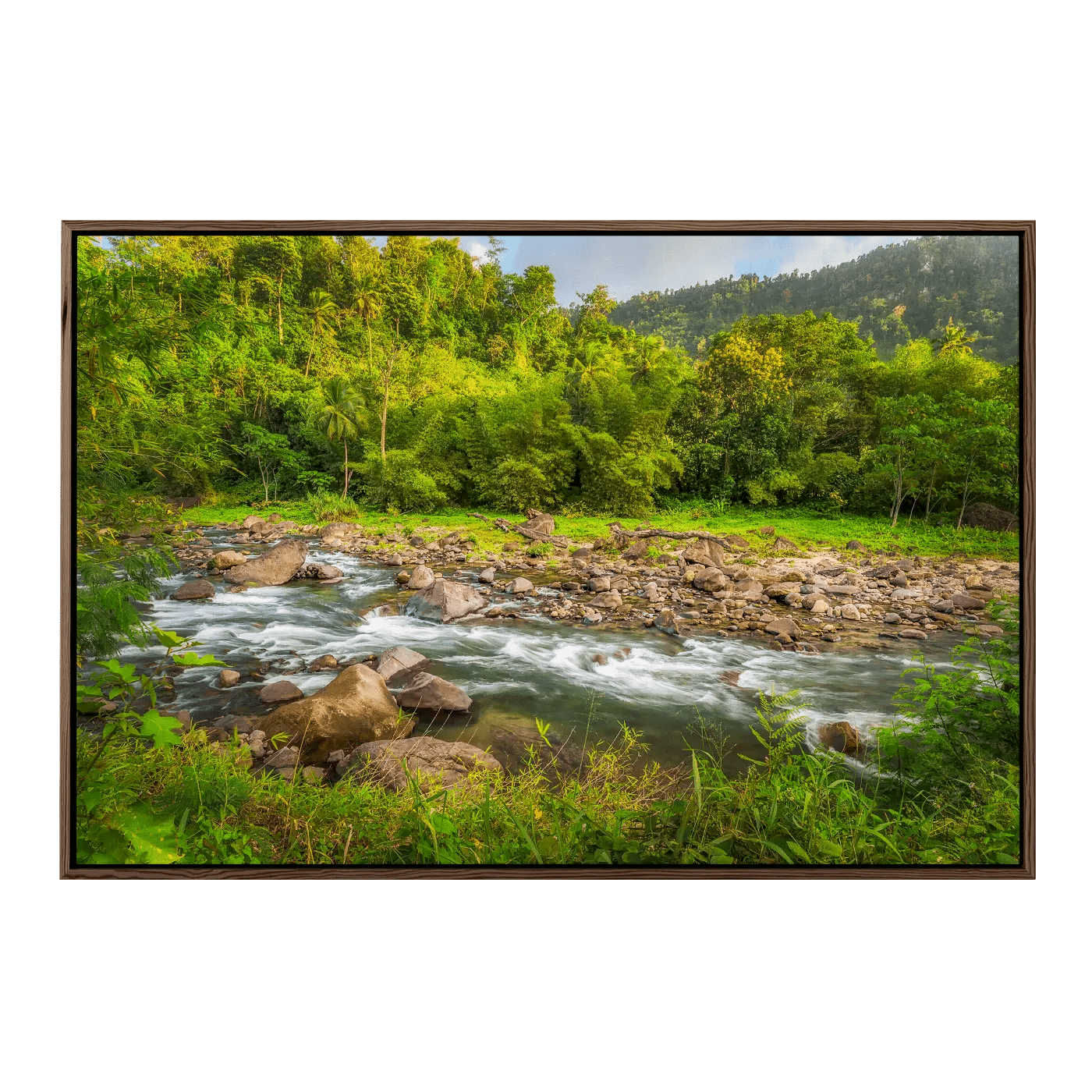 Golden Hour at Layou River II