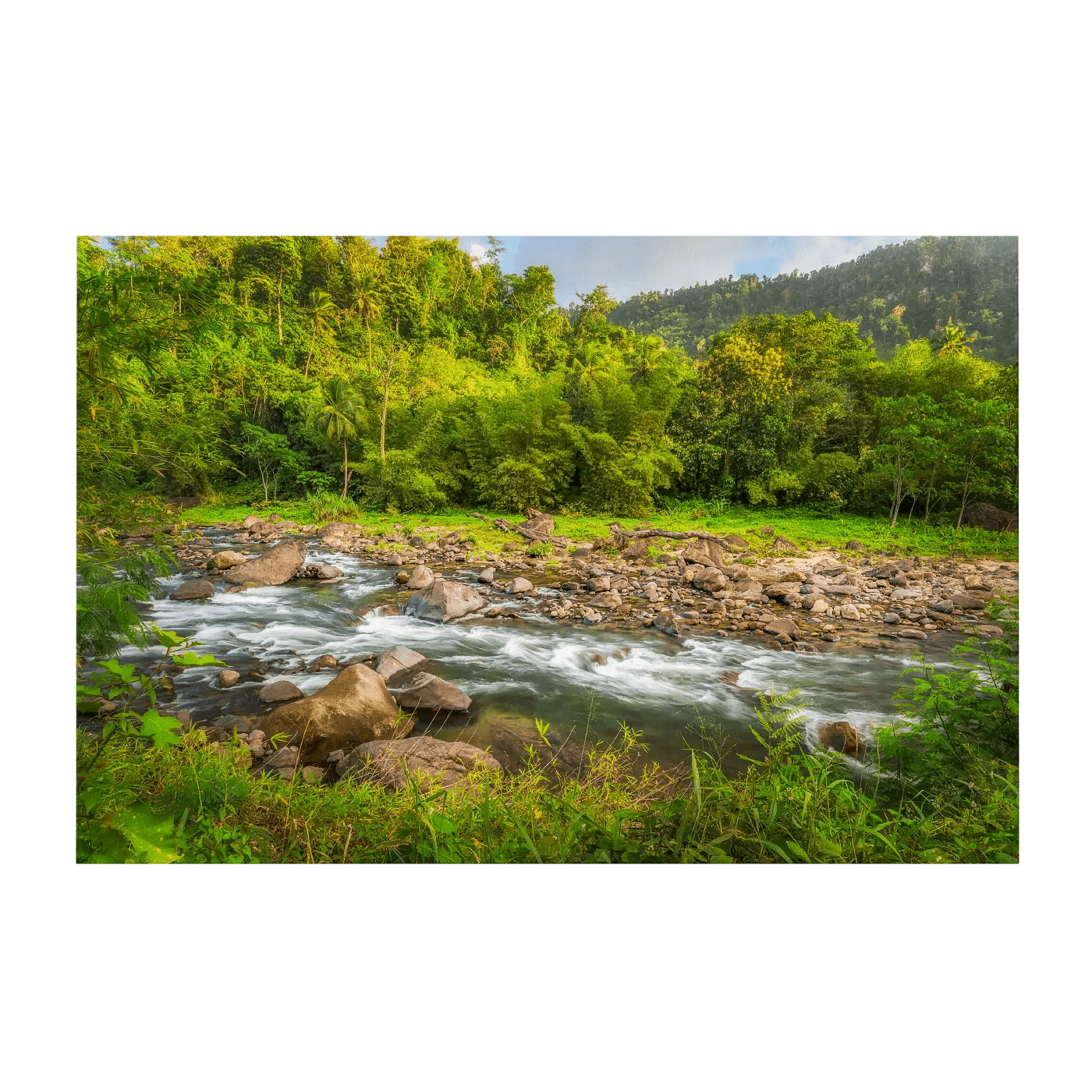 Golden Hour at Layou River II