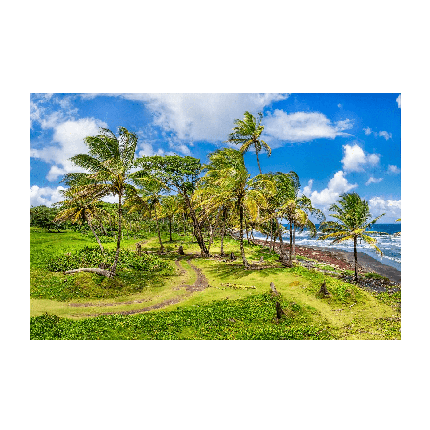 Lovely Cabana Beach