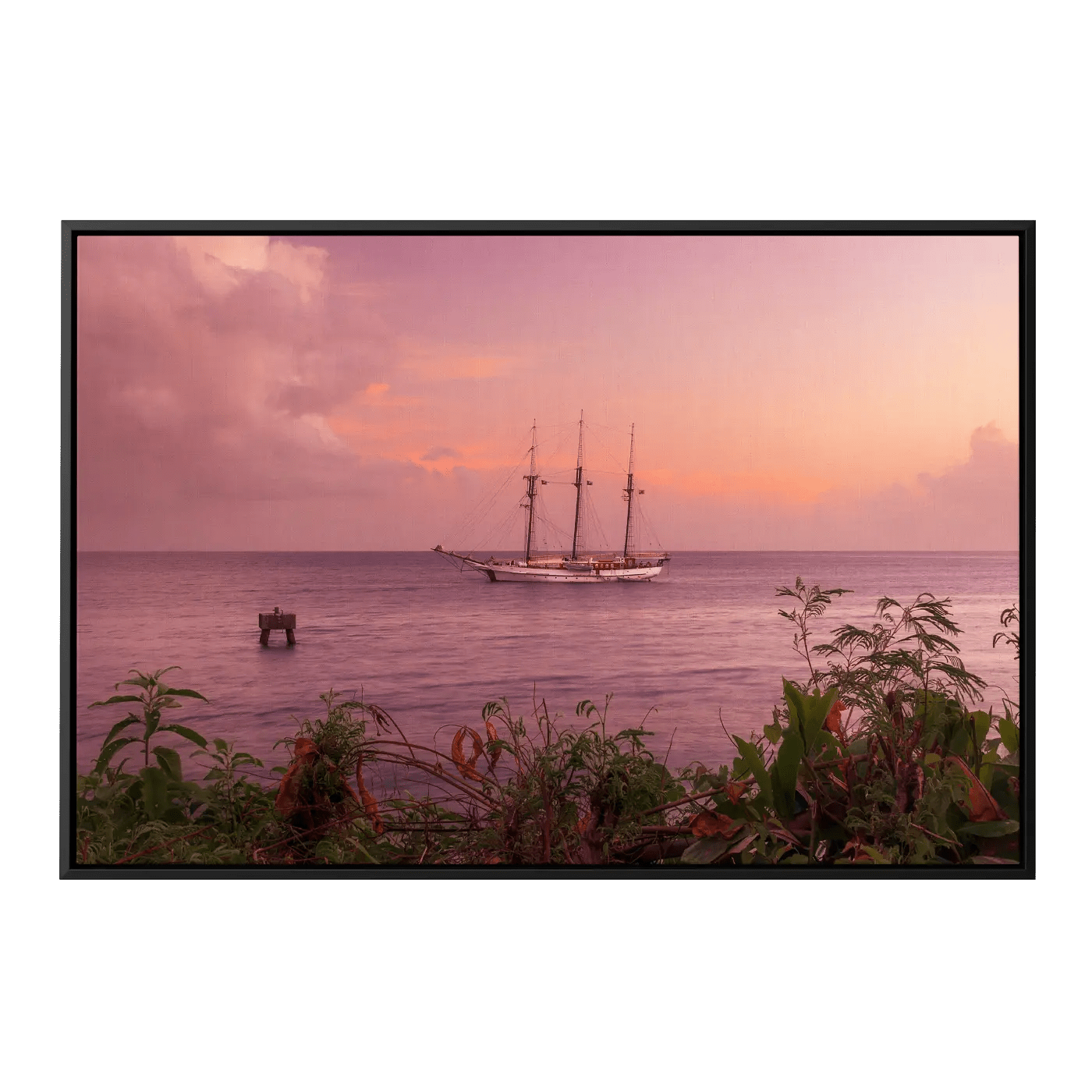 Purple Sunset