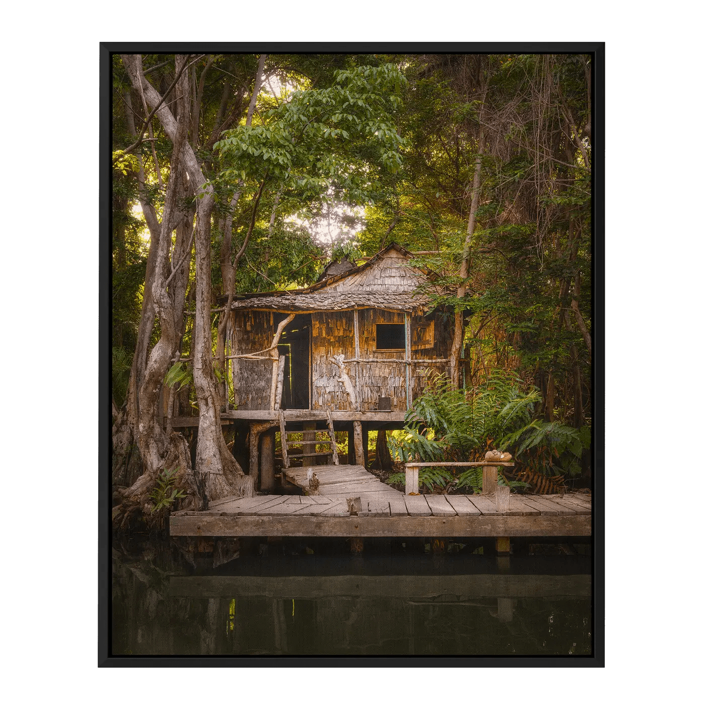 Calypso's House II