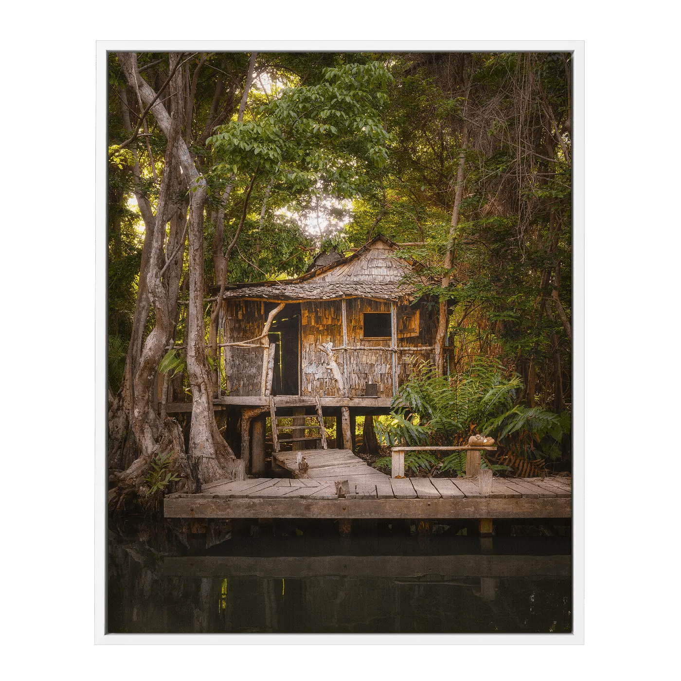 Calypso's House II