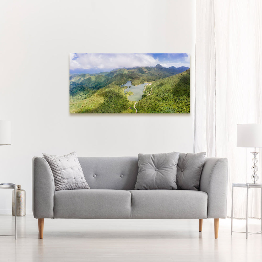 A canvas print of "FWL From Above #2" by Yuri A Jones, on a white wall, above a gray sofa.