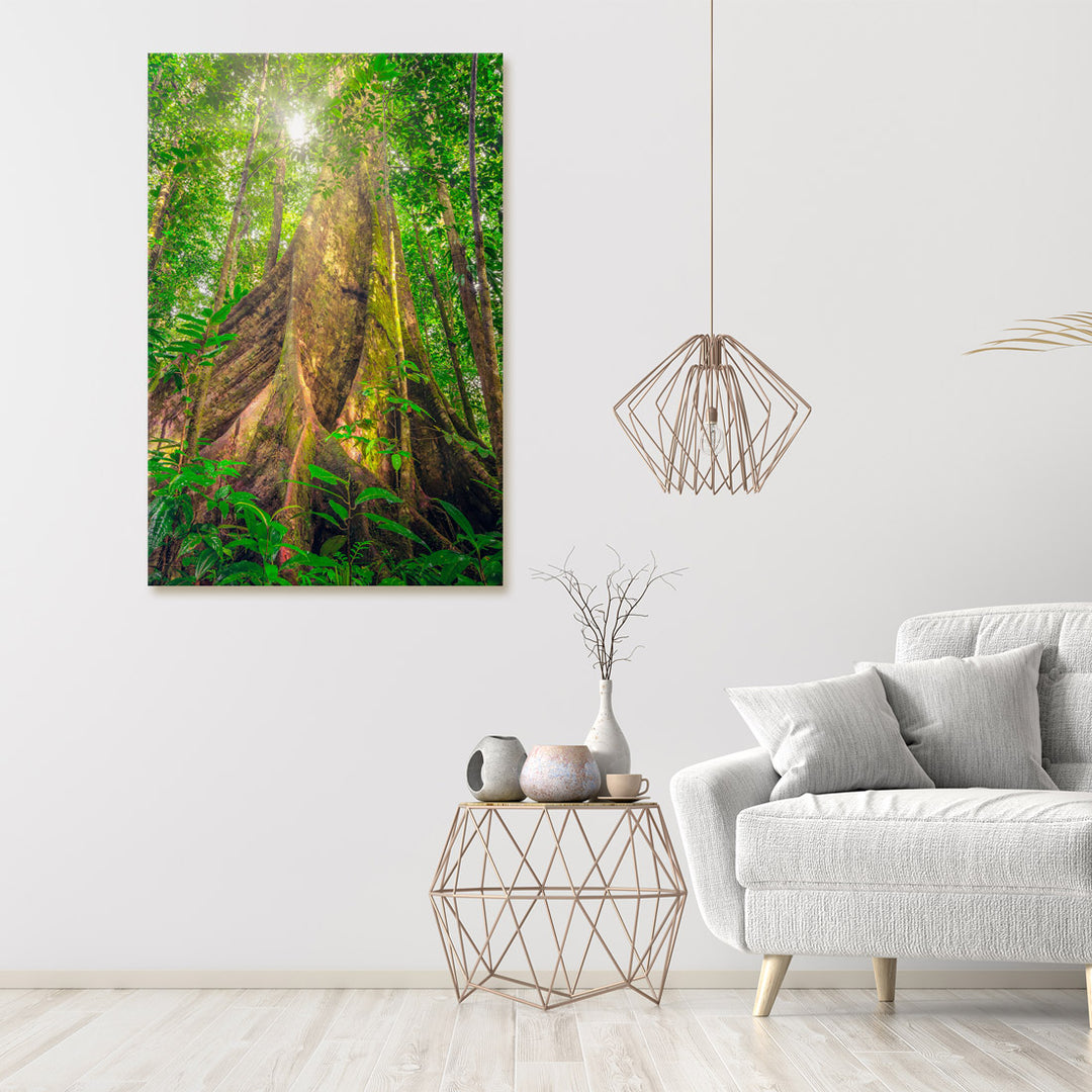 A canvas print of "Giants of the Forest" by Yuri A Jones on a white wall.