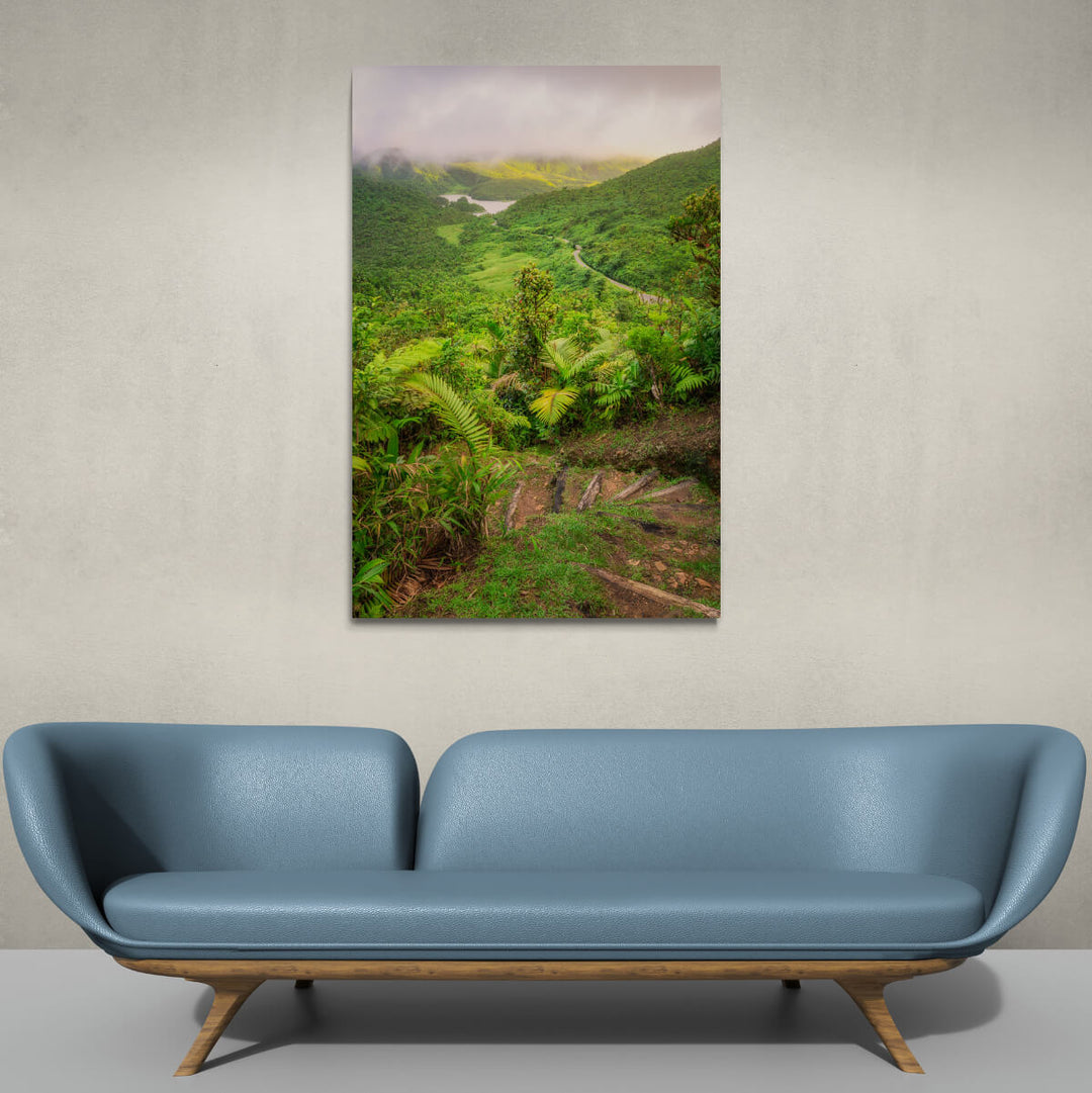 A canvas print of "From Boeri Lake Trail I" by Yuri A Jones on a gray wall, hung above a blue leather couch.